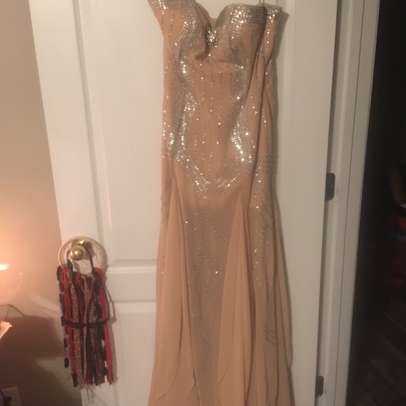Landa size 12 nude and mesh formal dress - Picture 1 of 6